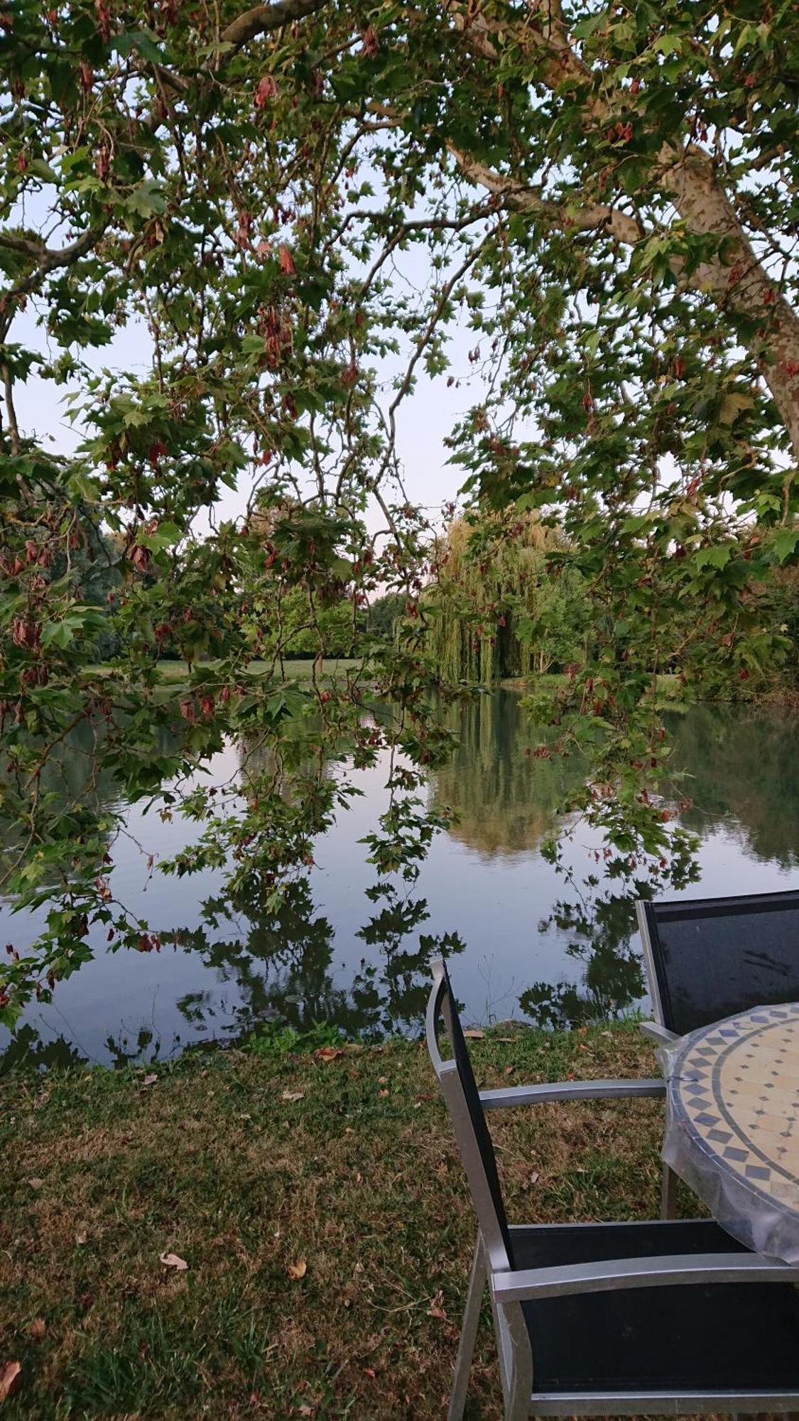 Moulin Du Fief Gentil Bed & Breakfast Blere Luaran gambar